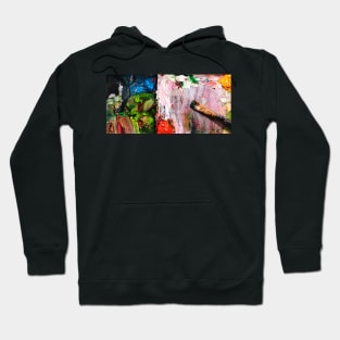 Artists palette Hoodie